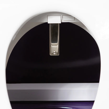 Dignity Lifts Bidet Toilet Lift
