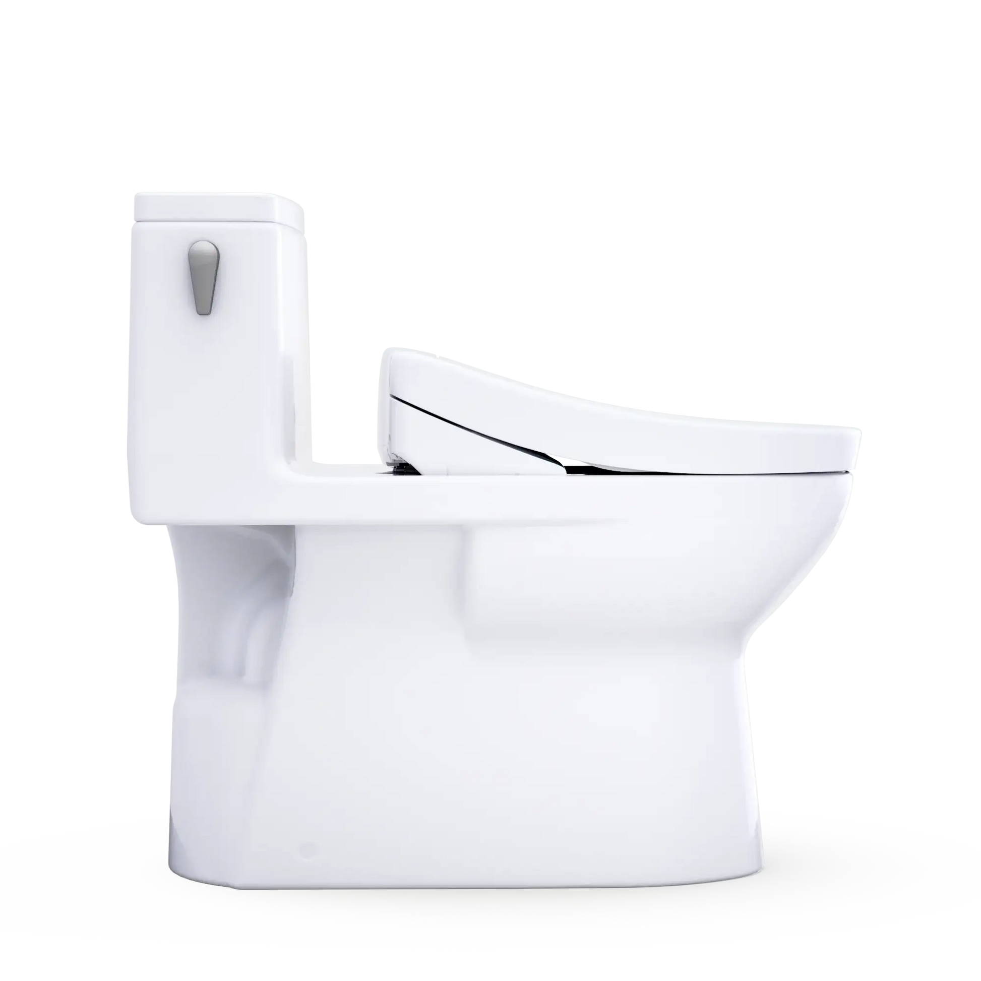 TOTO Redington Flush Lever